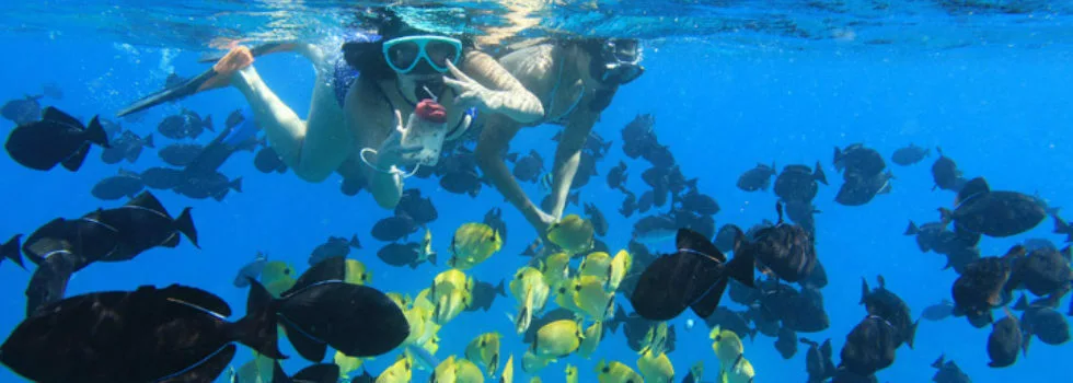 Koolina snorkel spots