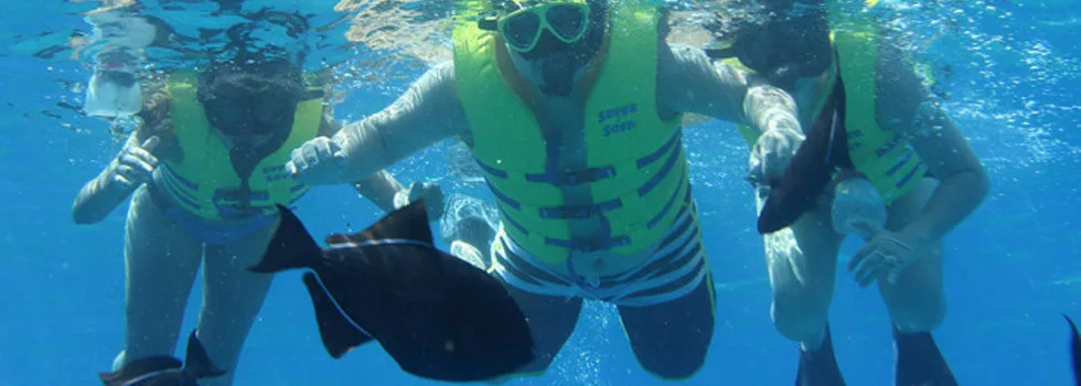 Snorkel west oahu tour