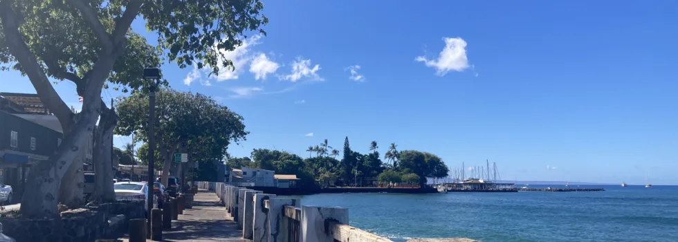 Lahaina walkway to harbor