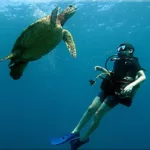 Learn-to-scuba-maui-thumbnail