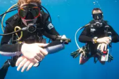 Learn to Scuba Dive on Kauai: Scuba kauai thumb
