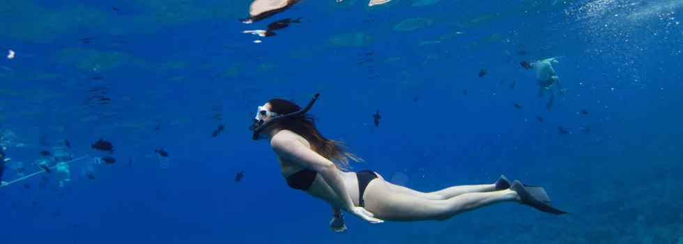 Backside-molokini-snorkeling-dive