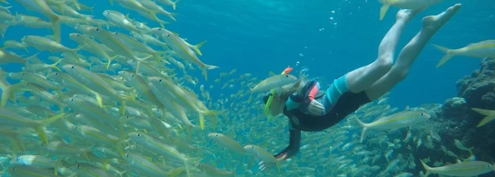 Snorkeling guide lesson oahu