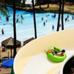 Waikiki to water park shuttle thumb