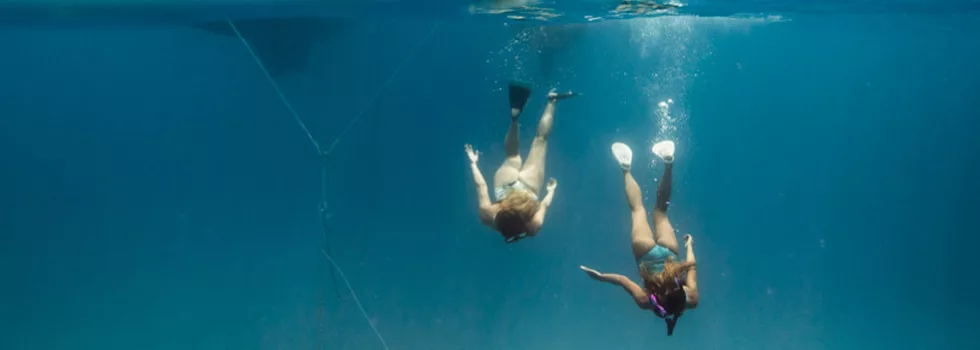 Luxury snorkel boat koolina