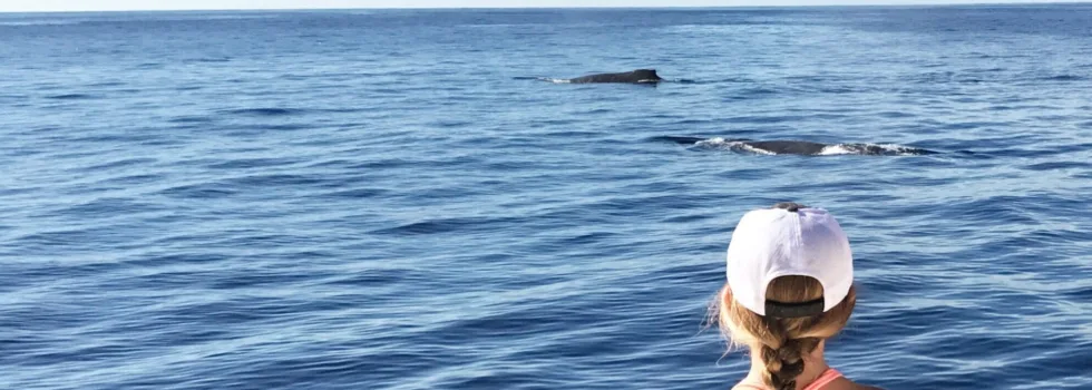 Girls watches humpback whales koolina catamaran