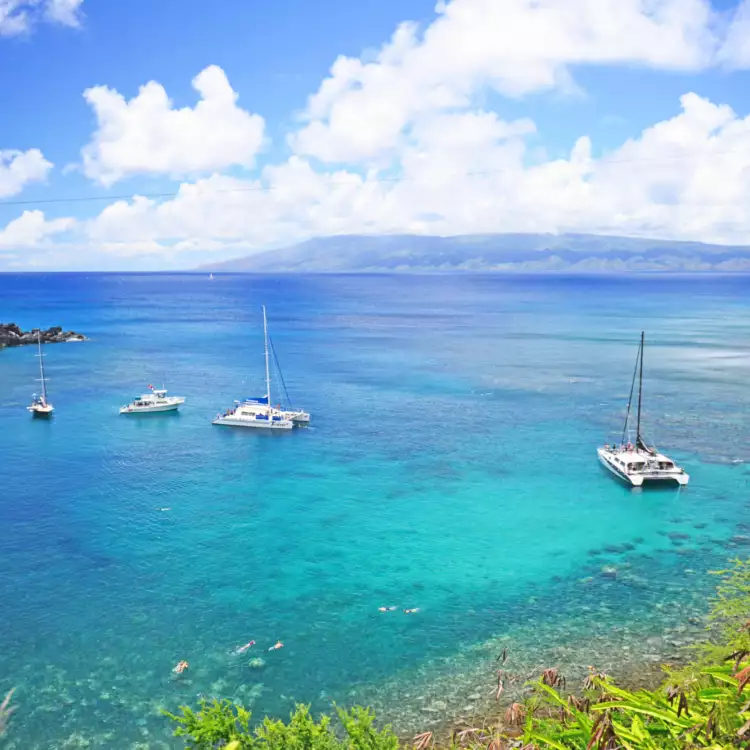 Maui coast hotel background