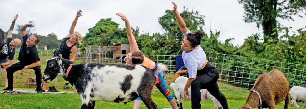 Best yoga vacation maui