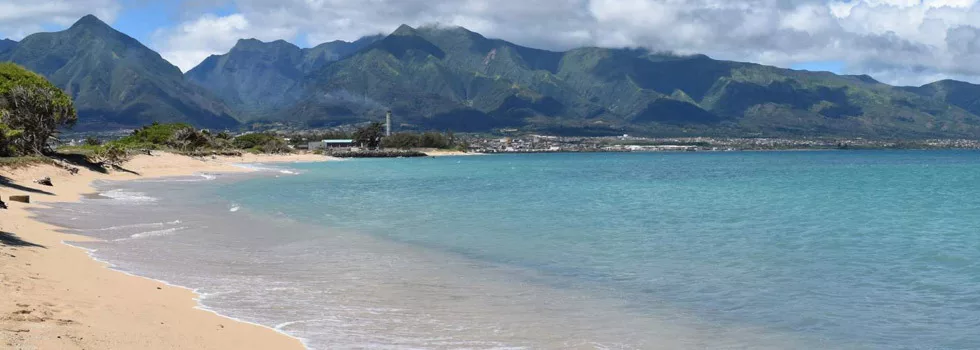 Wind surfing beach maui