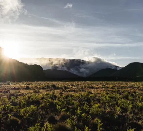 Haleakala and Hana Combo Tour photo 3