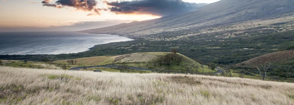 Slopes of haleakala from hana