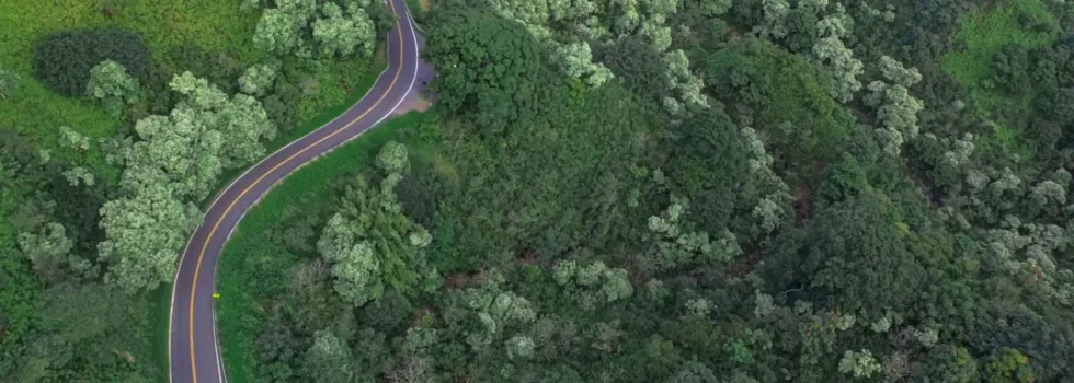 Curved road of hana