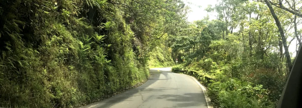 Road to hana by van tour