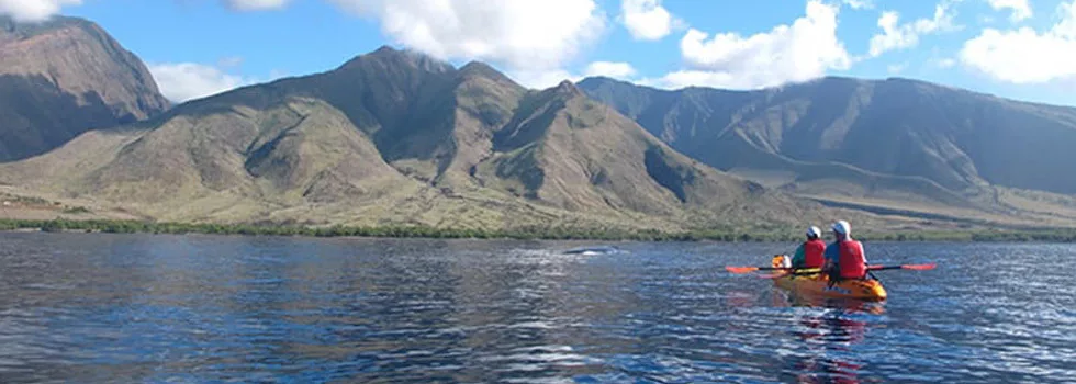 Kayak tour guide olowalu maui