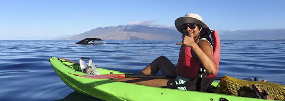 Kayak With Whales Maui