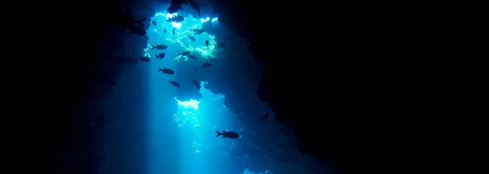 Lanai Cathedrals Dive
