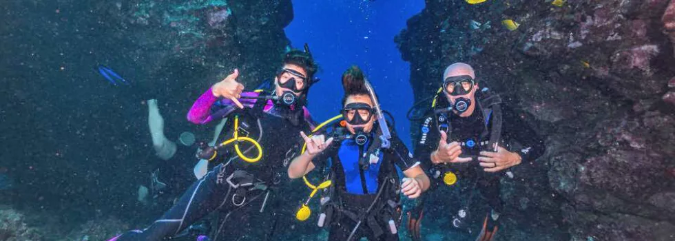 Dive Lanai Cathedrals