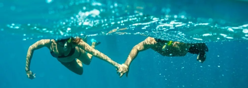 Private snorkel boat maui