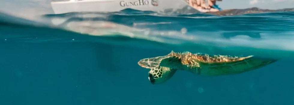 Private snorkel charter maui