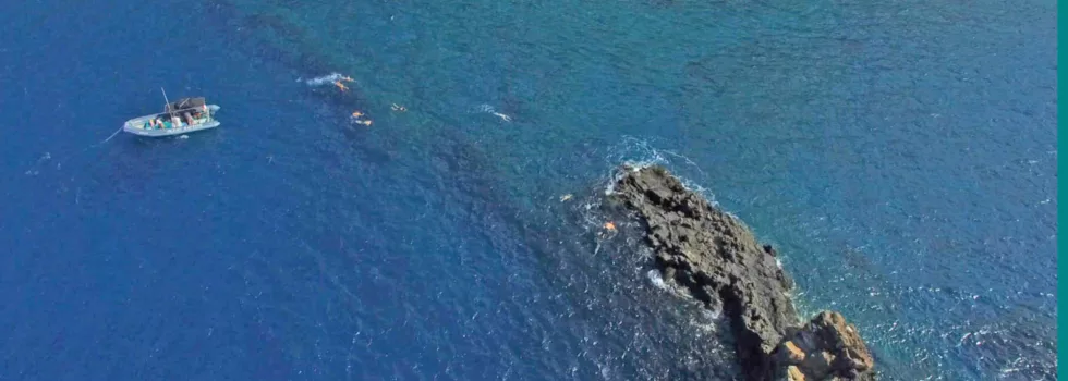 Snorkel at shark fin reef lanai