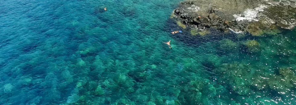 West lanai snorkel site