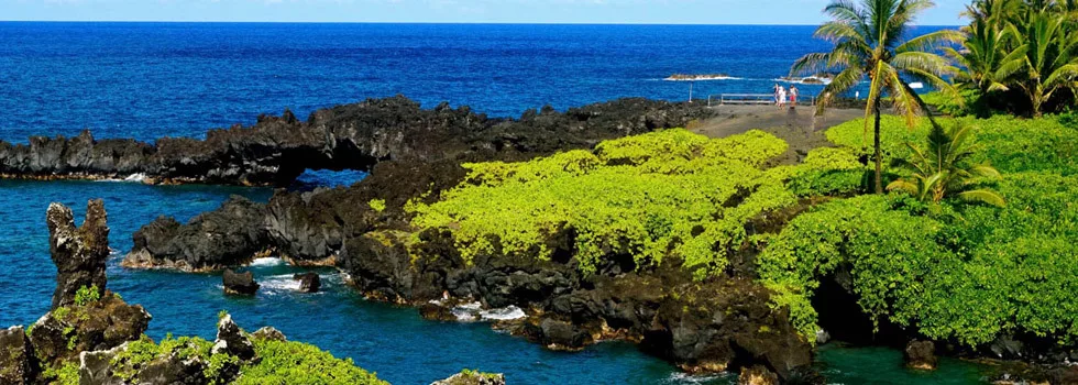 Best local tour guide on maui