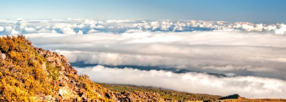 Private haleakala tour