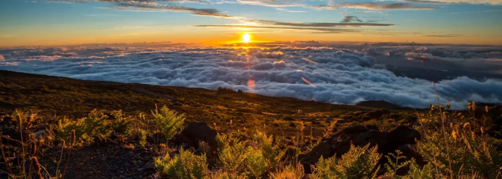 Private tour of haleakala