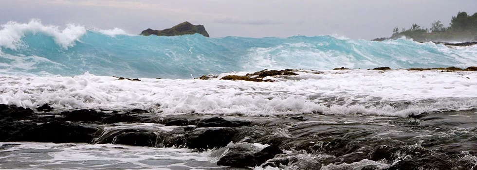 Best-maui-private-tour