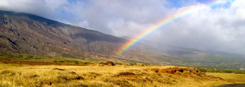Local-tour-guide-maui