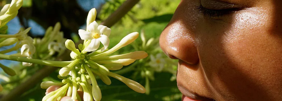 Private-tour-of-maui