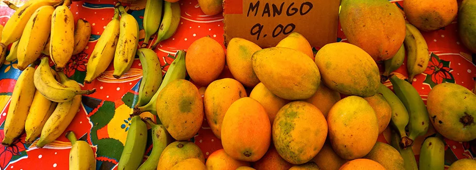 Fruit-stand-road-to-hana