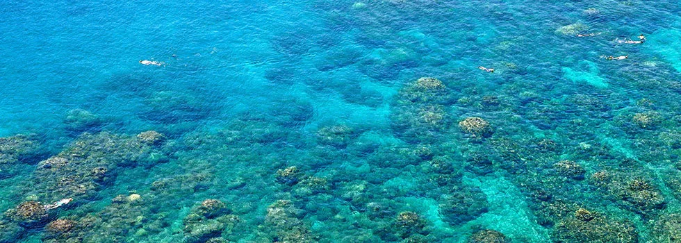 Honolua-bay-reef-private-tour