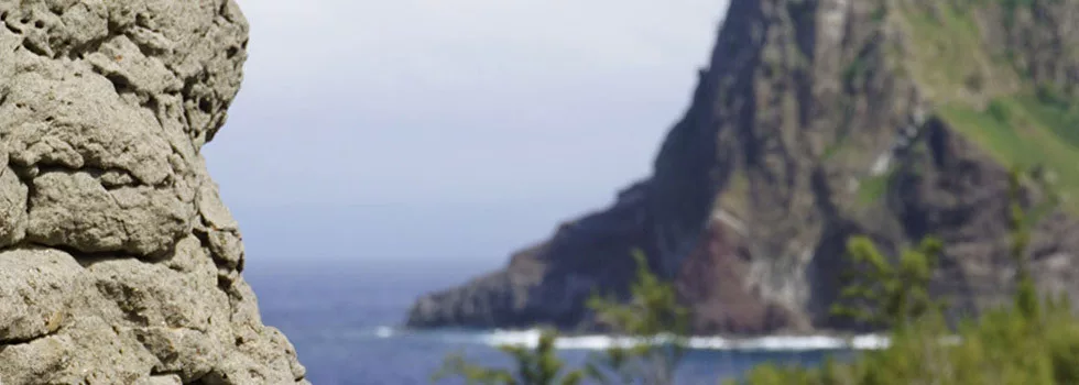 Maui-cruise-ship-private-tour