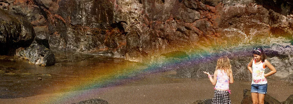 Private-maui-sightseeing-tour