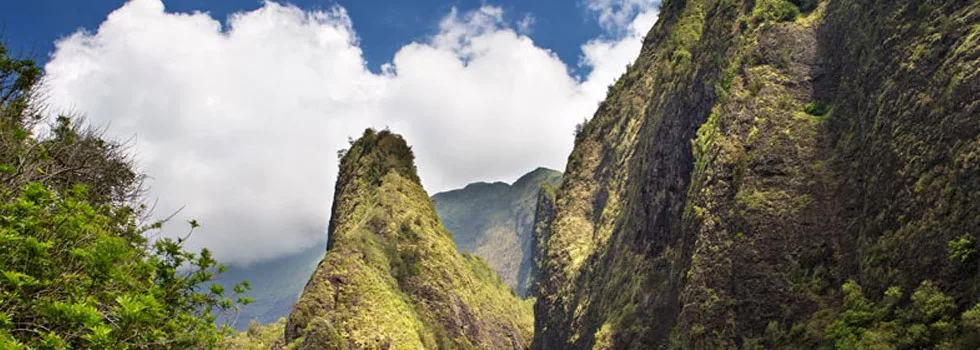 West-maui-private-tour-company