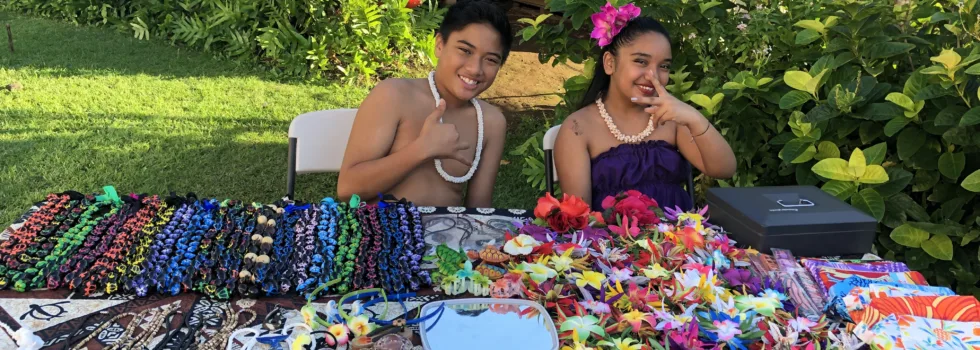 Craft sale table maui luau