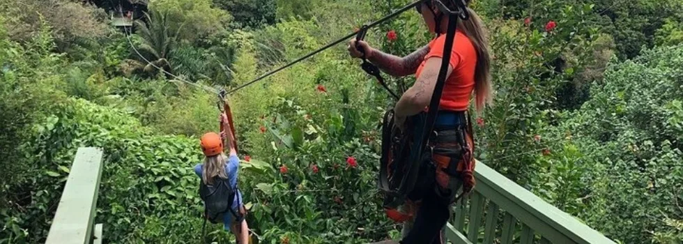 Zipline guide watches guest take off