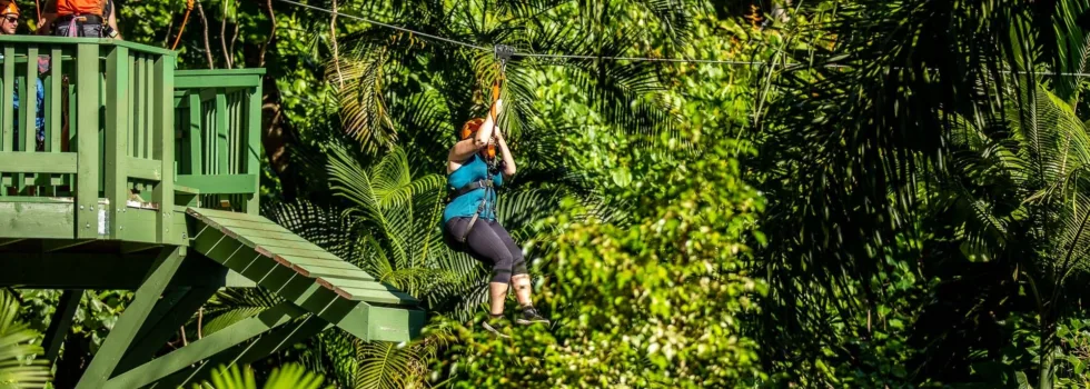 Haiku zipline customer launches from platform