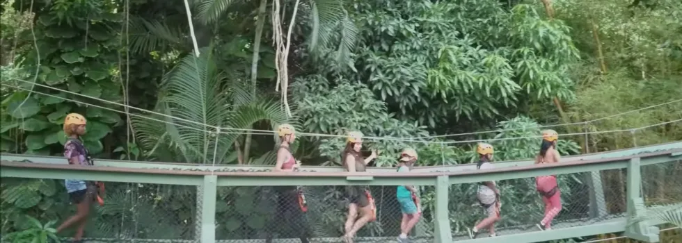 Maui zipline bridge