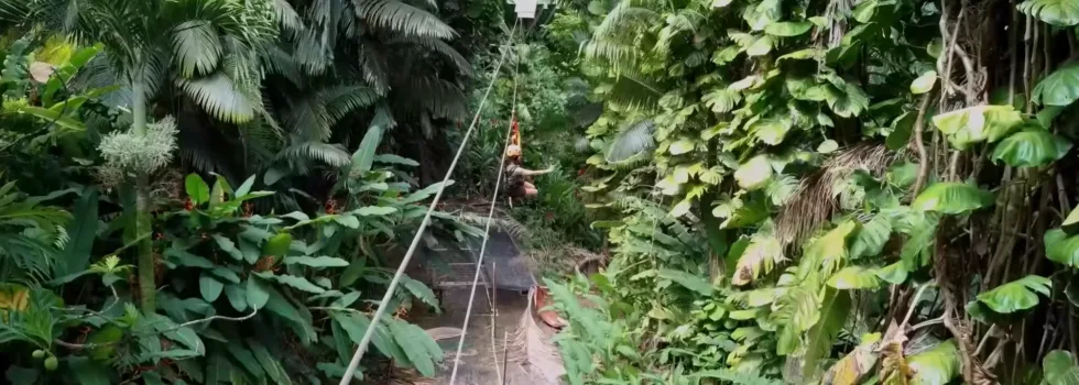 Woman ziplining through maui rainforest