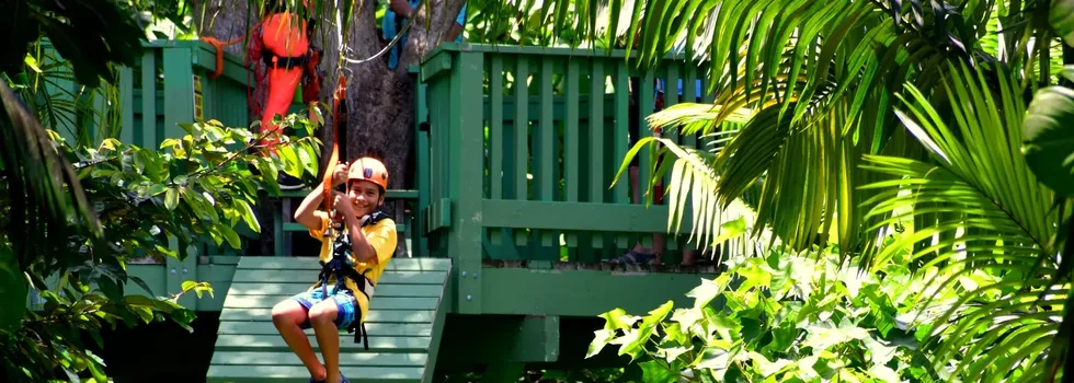 Little boy ziplining in haiku maui