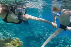 Half Day Lanai Snorkeling Tour: Snorkel thumb