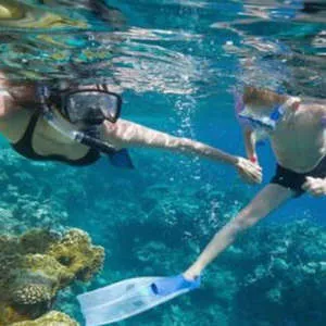 Half Day Lanai Snorkeling Tour