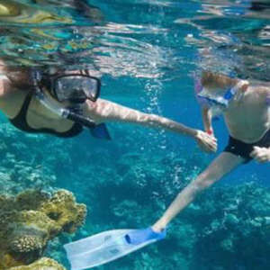 Half Day Lanai Snorkeling Tour