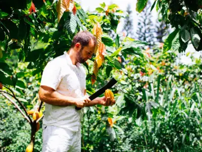Chocolate Farm Tour and Tasting: Kauai cacao farm