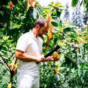 Chocolate Farm Tour and Tasting