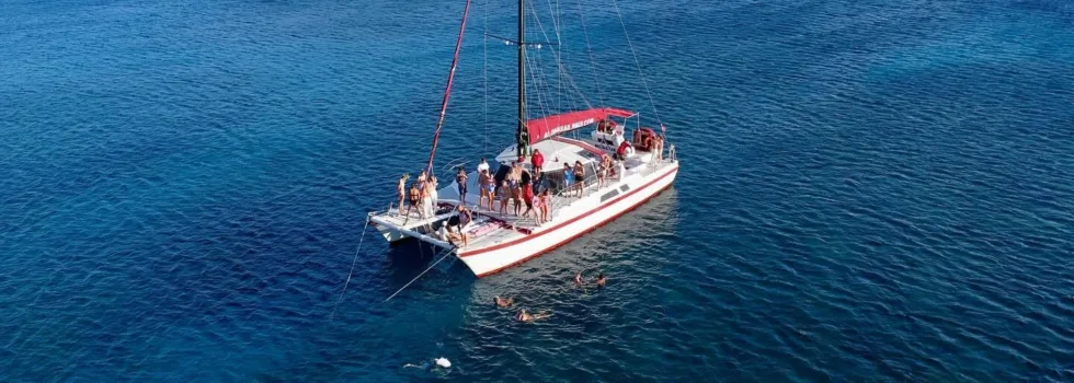 Authentic maui catamaran tour