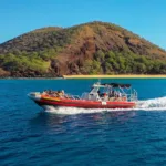 Zodiac speedboat tour maui