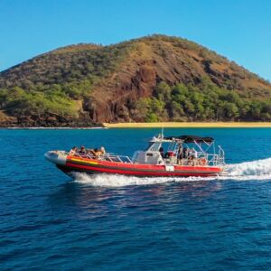 Molokini and Turtle Town Speedboat